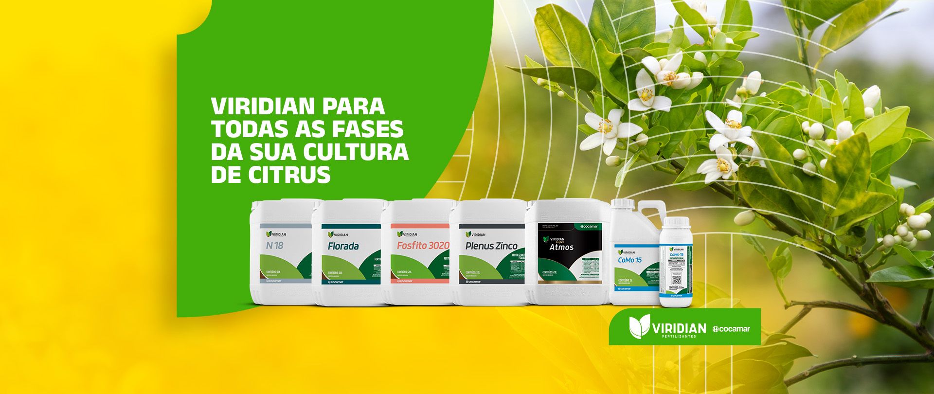 Campanha Citrus 24-25