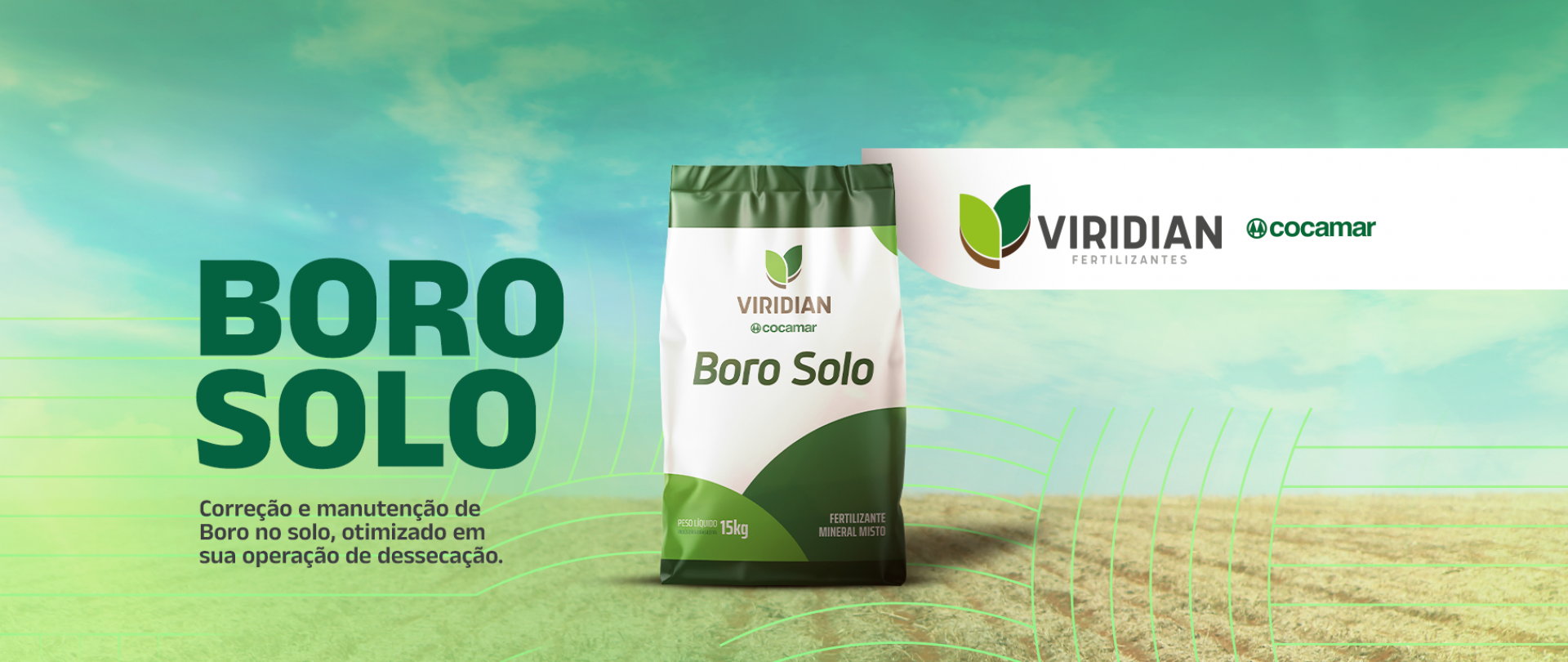 Boro solo