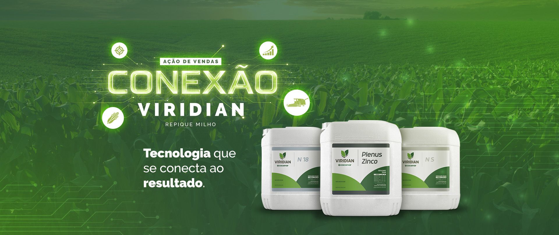 Acao de vendas RIPIQUE MILHO 