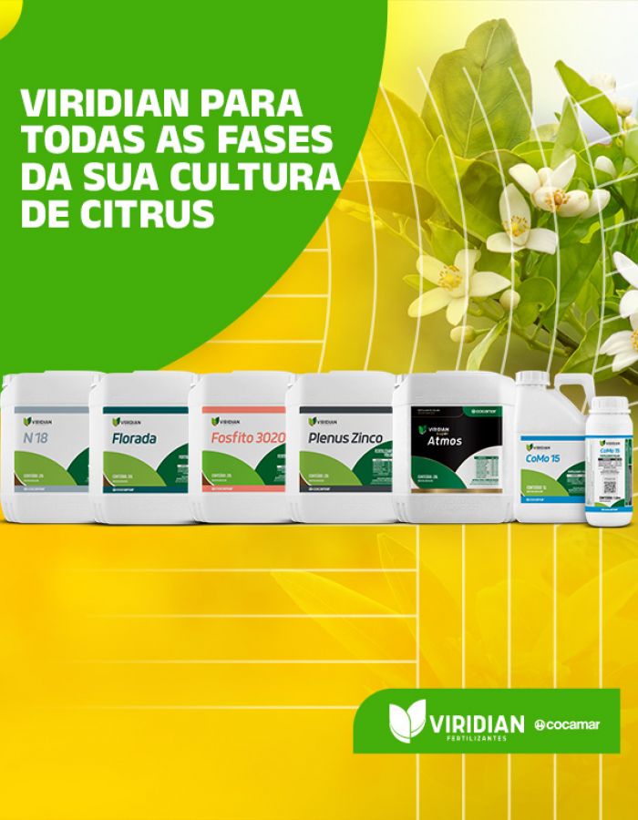 Campanha Citrus 24-25