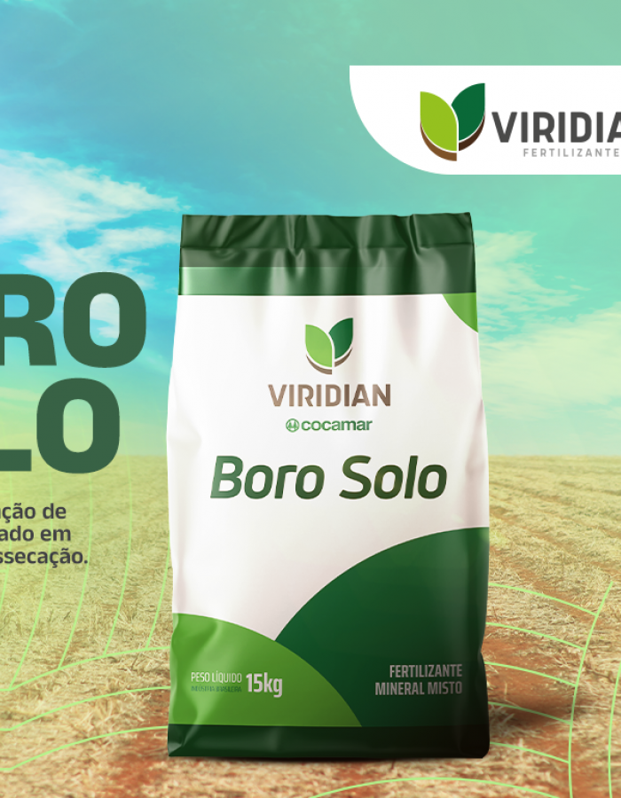 Boro solo
