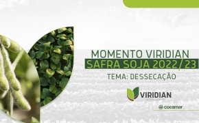 Momento Viridian | Safra Soja 2022/23