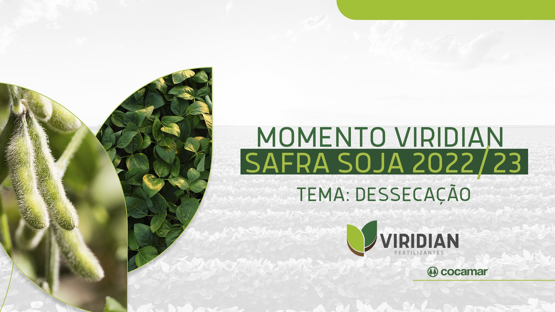 Momento Viridian | Safra Soja 2022/23