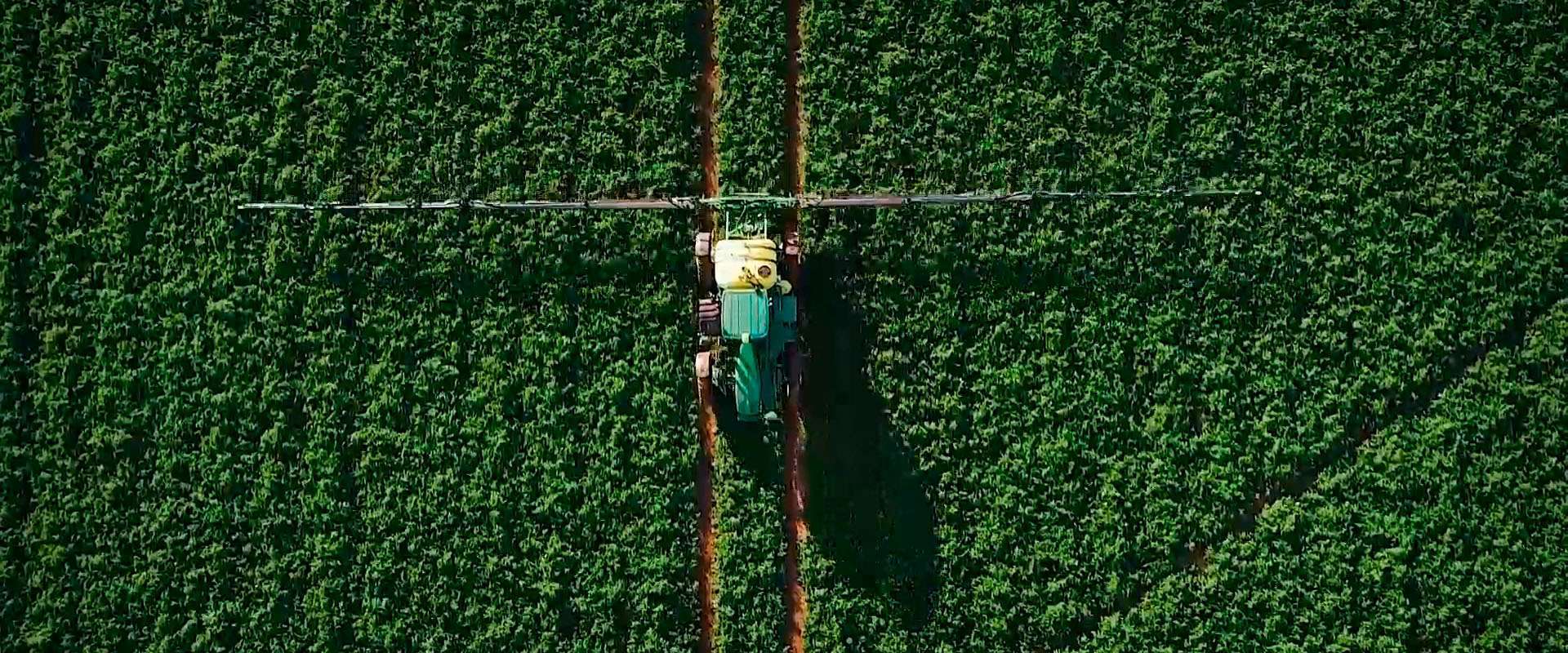 Viridian Fertilizantes - Vídeo Institucional 2020 | Cocamar